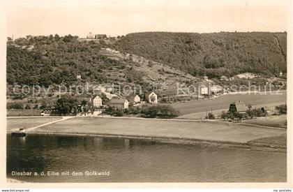 Diesbar-Seusslitz Panorama mit Blick zum Golkwald