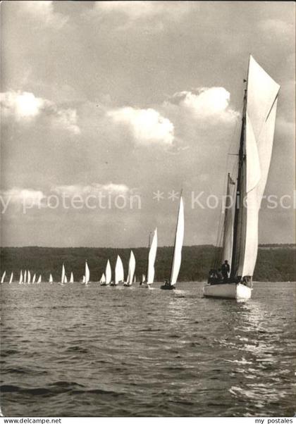 Diessen Ammersee Segelschule