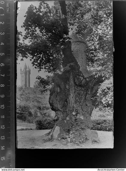 30037806 - Dillenburg