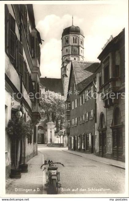 Dillingen Donau mit Schlosstrum