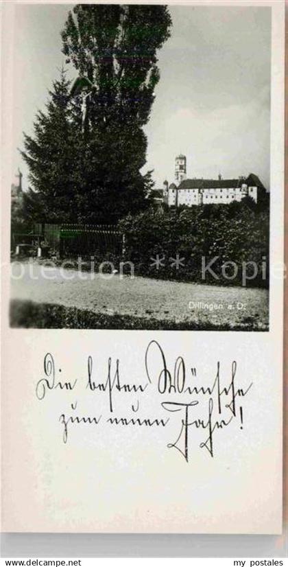 Dillingen Donau Schloss