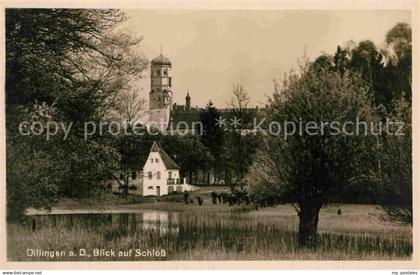Dillingen Donau Schloss