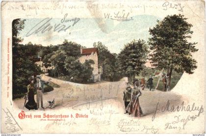 Gruss vom Schweizerhaus bei Döbeln