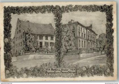 13571355 - Donaueschingen