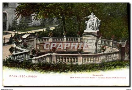 CPA Donaueschingen Donauquelle
