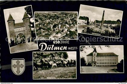 Duelmen Jubilaeum 650 Jahre Duelmen Wildpferde Marienplatz Luedinghauser-Tor