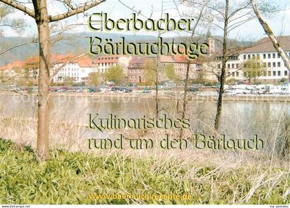 Eberbach Neckar Baerlauchtage