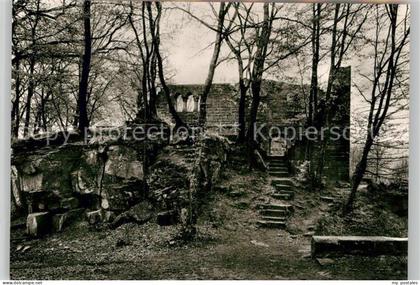Eberbach Neckar Burg Eberbach
