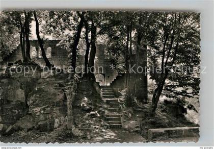 Eberbach Neckar Hohenstaufenburg