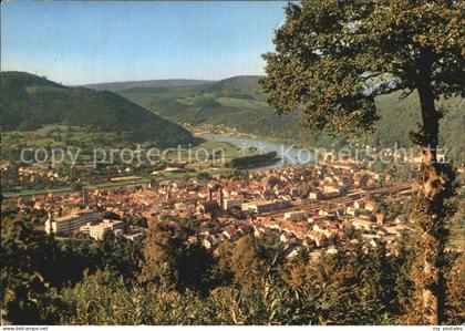 Eberbach Neckar Panorama