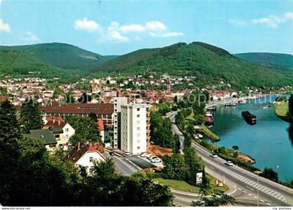 Eberbach Neckar Stadtpanorama