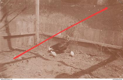 Foto AK Ebersbach Haus Walter Herta Tech ? a Neugersdorf Neusalza Spremberg Seifhennersdorf Eibau Löbau Zittau Fugau