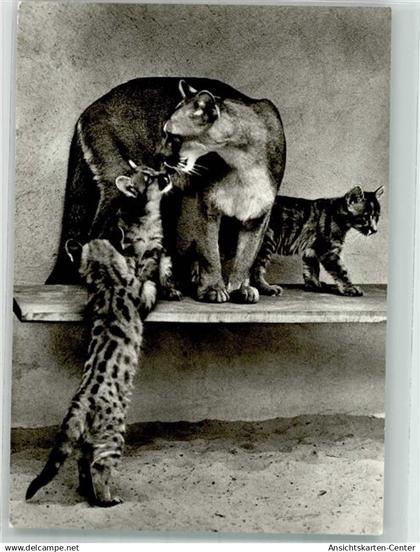 39898798 - Eberswalde