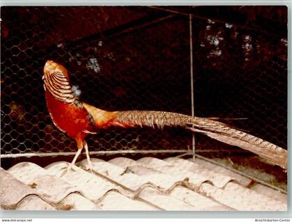 40093156 - Edenkoben