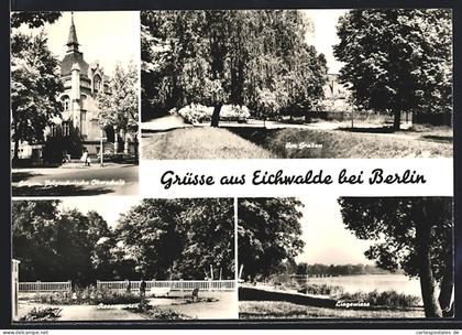 AK Eichwalde bei Berlin, Allgem. Polytechnische Oberschule, Am Graben, Liegewiese, Rosengarten