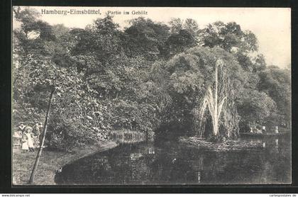 AK Hamburg-Eimsbüttel, Partie im Gehölz