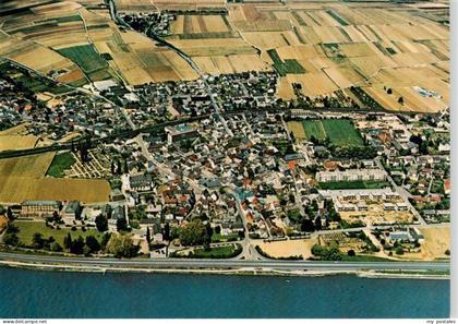 Erbach Rheingau Fliegeraufnahme