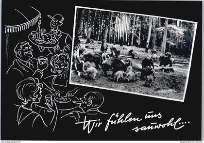 50401436 - Erbach , Odenw