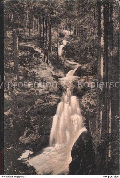 Falkenstein Vogtland Rissfaelle