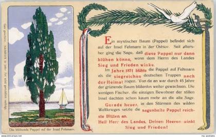 Fehmarn Pappel