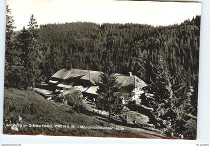 Feldberg Schwarzwald Feldberg