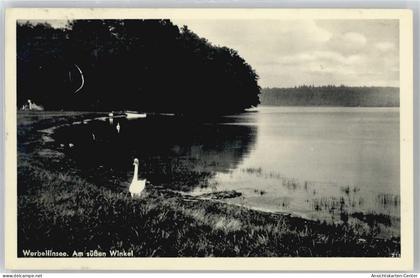 50585679 - Eichhorst b Eberswalde