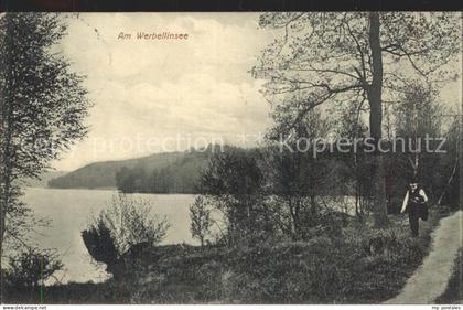 Werbellinsee-Altenhof Uferweg