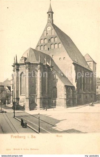 Freiberg Sachsen Dom