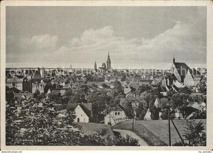 Freiberg Sachsen Stadtblick