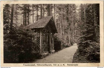 Freudenstadt - Palmenwald
