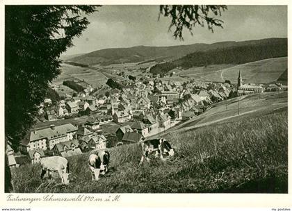 Furtwangen Panorama