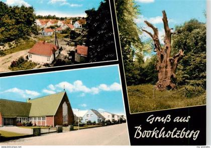 Bookholzberg Ganderkesee Ortsansichten Natur Alter Baum