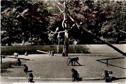 Gelsenkirchen, Ruhr-Zoo