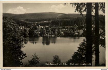 Georgenthal in Thüringen, Blick vom Herzogsweg