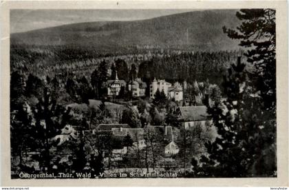 Georgenthal, Villen im Schwimmbachtal