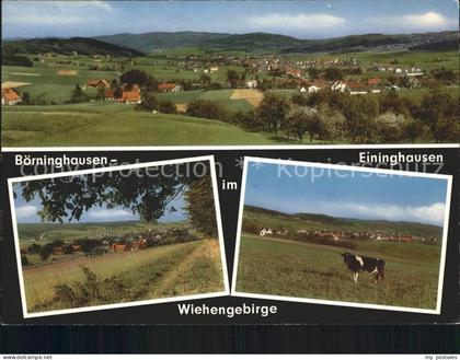 Boerninghausen Eininghausen Kuh