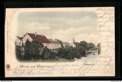 AK Göppingen, Heilanstalt