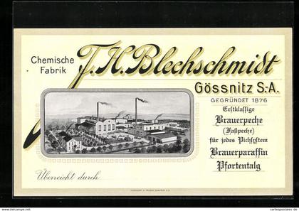 AK Gössnitz i. S.-A., Chemische Fabrik Blechschmidt