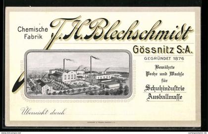 AK Gössnitz i. S.-A., Chemische Fabrik Blechschmidt