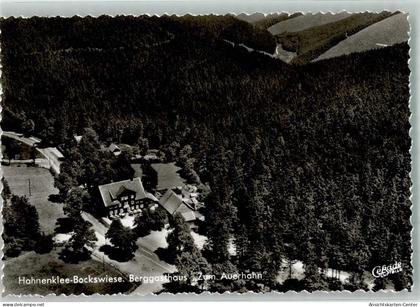 38043918 - Auerhahn , Oberharz
