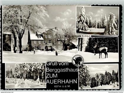 39960544 - Auerhahn , Oberharz