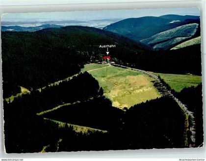 40120927 - Auerhahn , Oberharz