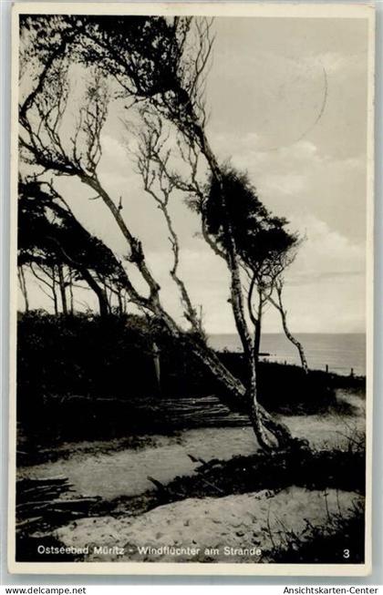 38148128 - Graal-Mueritz , Seeheilbad