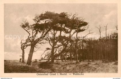Graal-Mueritz Ostseebad Waldecke