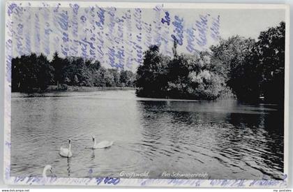Greifswald Mecklenburg Vorpommern Greifswald Schwanenteich