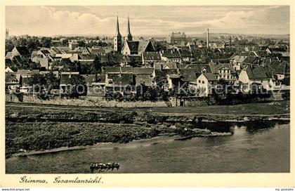 Grimma Gesamtansicht