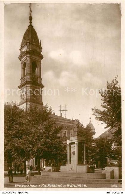 Grossenhain Sachsen Rathaus mit Brunnen
