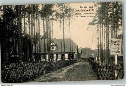 13543916 - Gruenheide , Mark