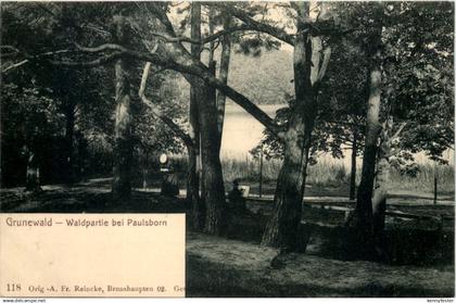 Grunewald - Waldpartie bei Paulsborn