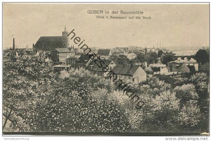 Guben in der Baumblüte - Blick von Sanssouci auf die Stadt - Verlag Julius Rothe Guben